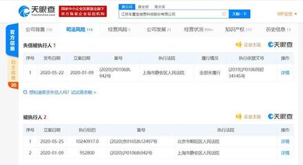 江苏车置宝信息科技股份成被执行人，执行标的超千万